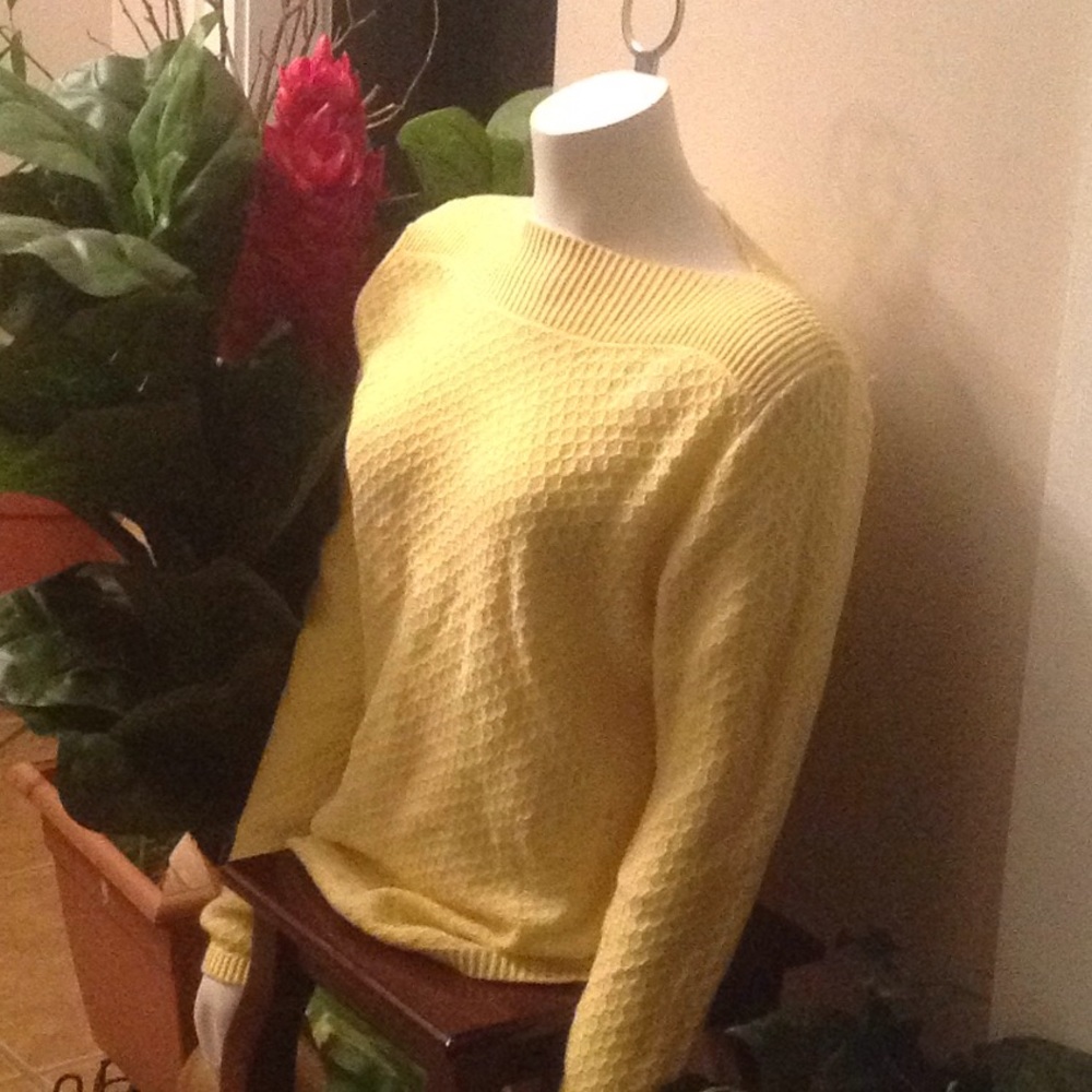 Croft and Barrow x-large top